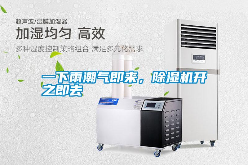 一下雨潮氣即來(lái)，除濕機開(kāi)之即去