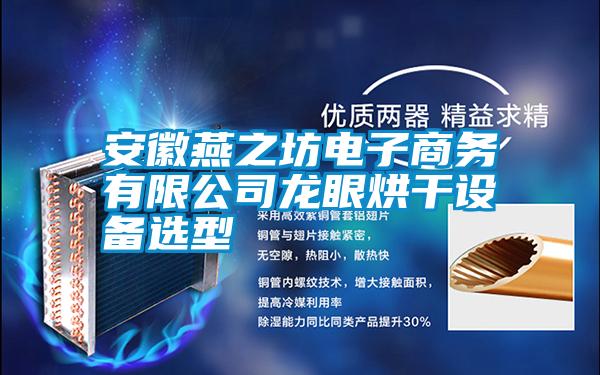 安徽燕之坊電子商務(wù)有限公司龍眼烘干設備選型