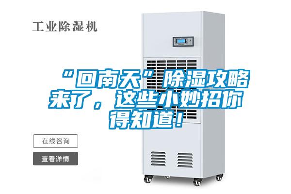 “回南天”除濕攻略來(lái)了，這些小妙招你得知道！