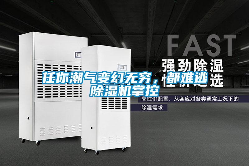 任你潮氣變幻無(wú)窮，都難逃除濕機掌控