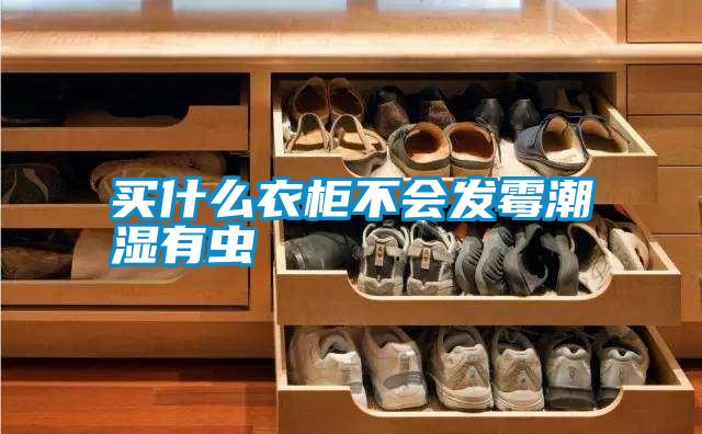 買(mǎi)什么衣柜不會(huì )發(fā)霉潮濕有蟲(chóng)