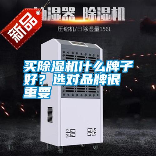 買除濕機什么牌子好？選對品牌很重要