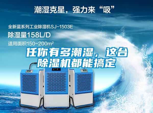 任你有多潮濕，這臺除濕機都能搞定
