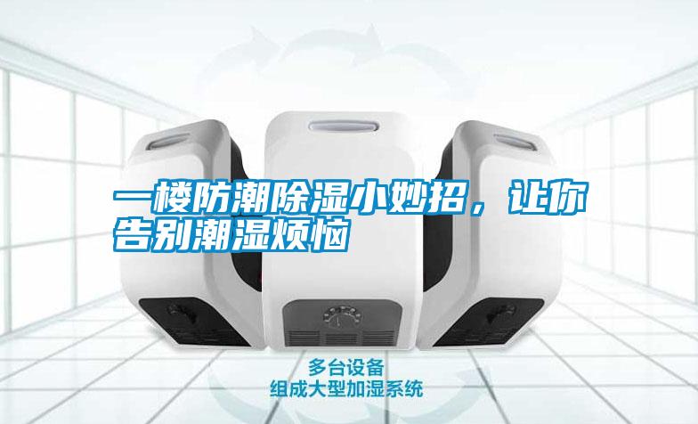 一樓防潮除濕小妙招，讓你告別潮濕煩惱