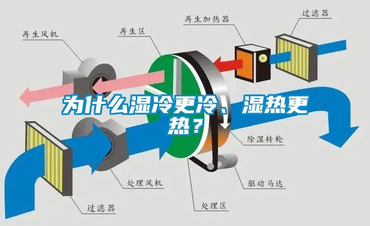 為什么濕冷更冷、濕熱更熱？