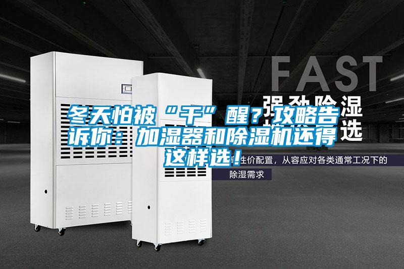 冬天怕被“干”醒？攻略告訴你：加濕器和除濕機還得這樣選！