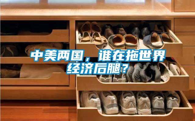 中美兩國，誰(shuí)在拖世界經(jīng)濟后腿？