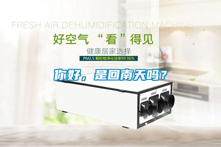 你好，是回南天嗎？