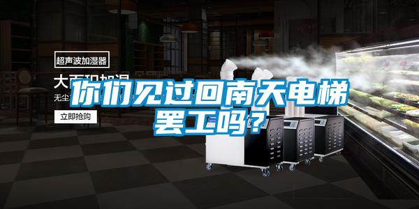 你們見(jiàn)過(guò)回南天電梯罷工嗎？