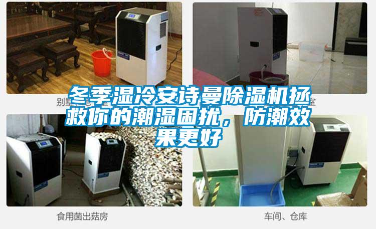 冬季濕冷安詩(shī)曼除濕機拯救你的潮濕困擾，防潮效果更好