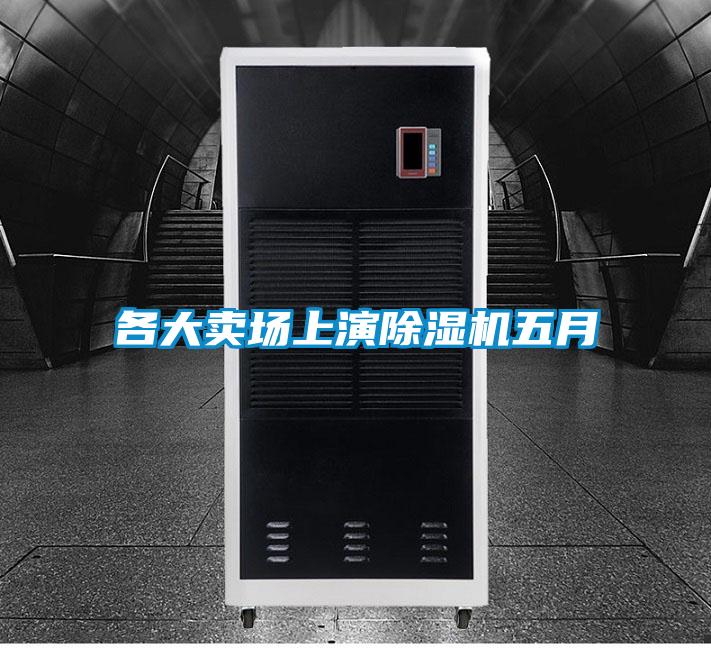 各大賣(mài)場(chǎng)上演除濕機五月