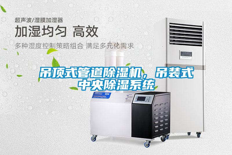 吊頂式管道除濕機，吊裝式中央除濕系統