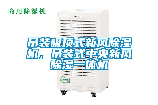 吊裝吸頂式新風除濕機，吊裝式中央新風除濕一體機