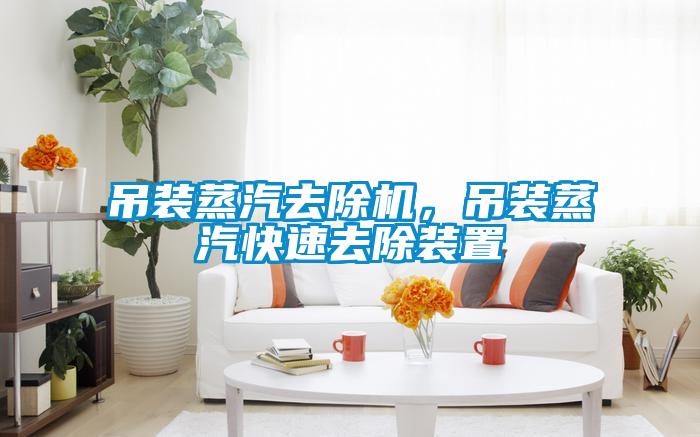 吊裝蒸汽去除機，吊裝蒸汽快速去除裝置