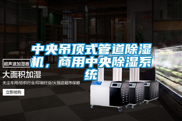 中央吊頂式管道除濕機，商用中央除濕系統