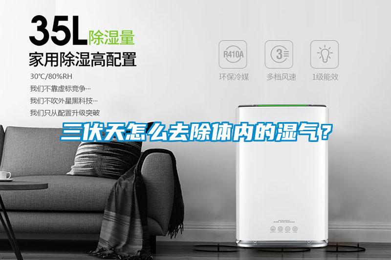 三伏天怎么去除體內的濕氣？