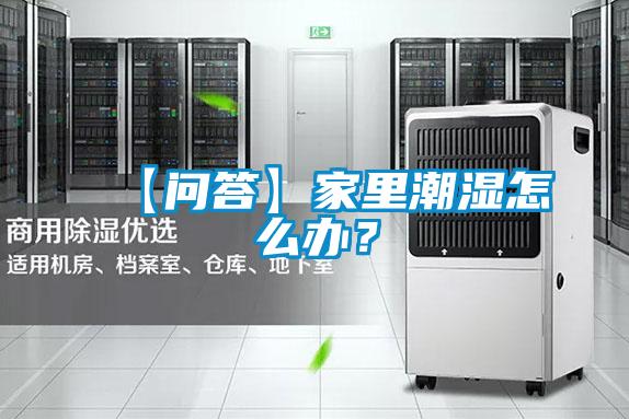【問(wèn)答】家里潮濕怎么辦？