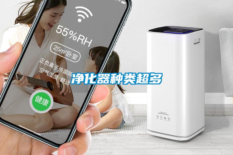 凈化器種類(lèi)超多