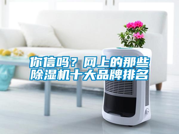你信嗎？網(wǎng)上的那些除濕機十大品牌排名