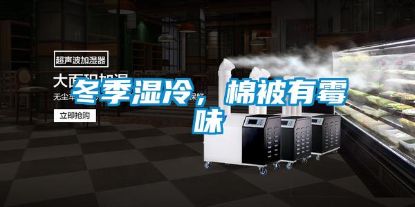 冬季濕冷，棉被有霉味