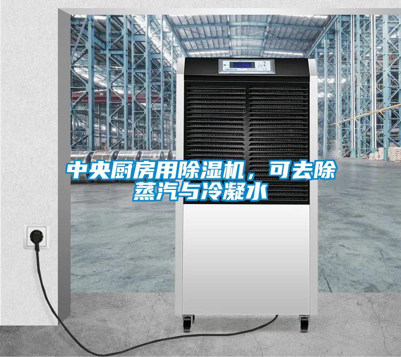 中央廚房用除濕機，可去除蒸汽與冷凝水