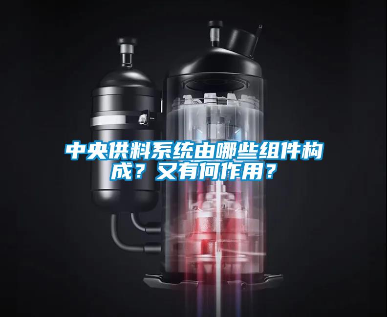 中央供料系統由哪些組件構成？又有何作用？