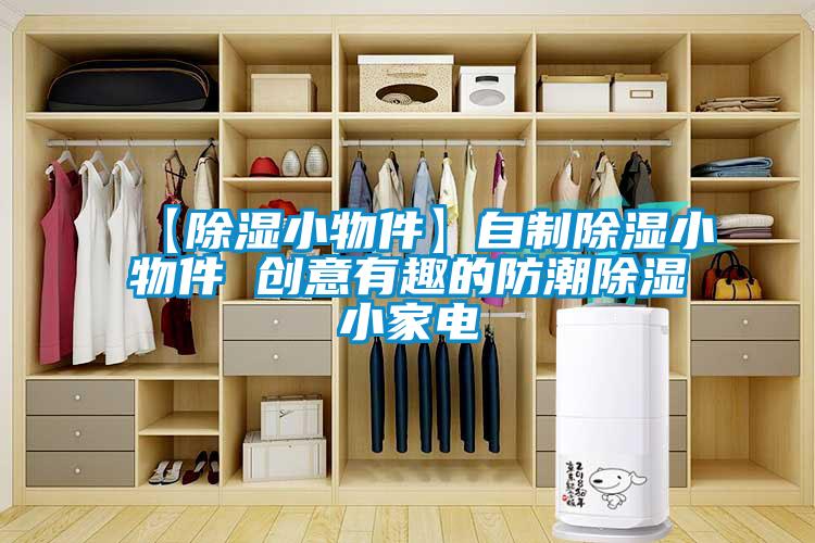 【除濕小物件】自制除濕小物件 創(chuàng  )意有趣的防潮除濕小家電