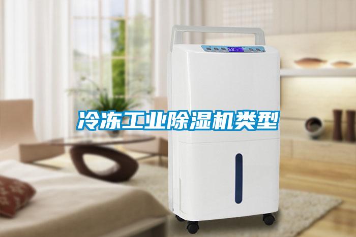 冷凍工業(yè)除濕機類(lèi)型