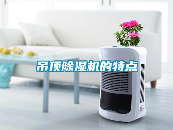 吊頂除濕機的特點(diǎn)