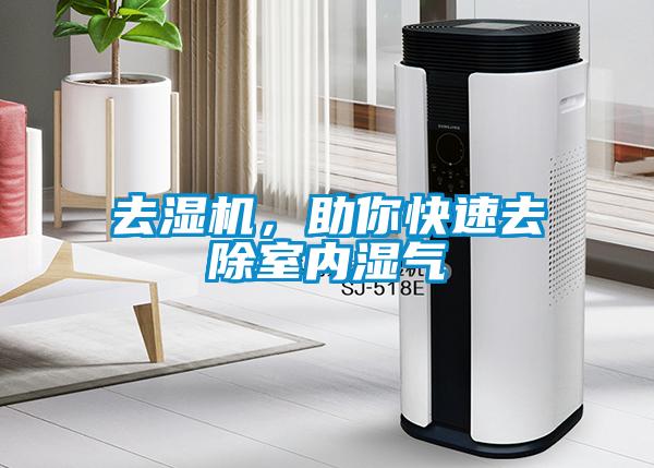 去濕機，助你快速去除室內濕氣