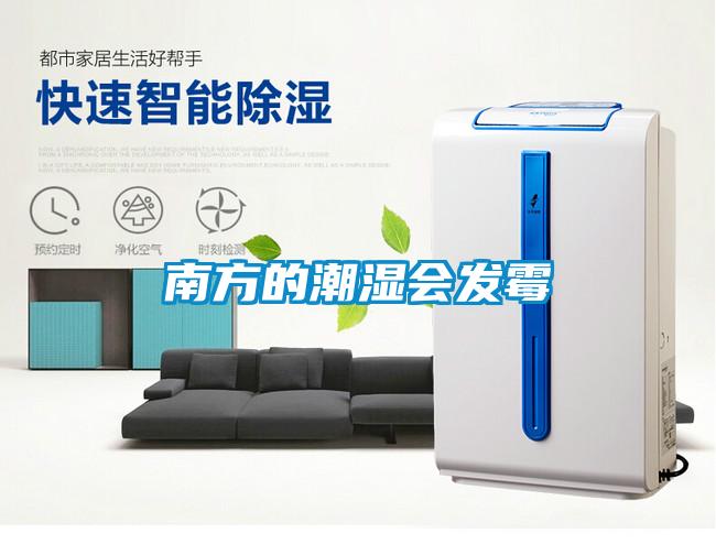 南方的潮濕會(huì )發(fā)霉