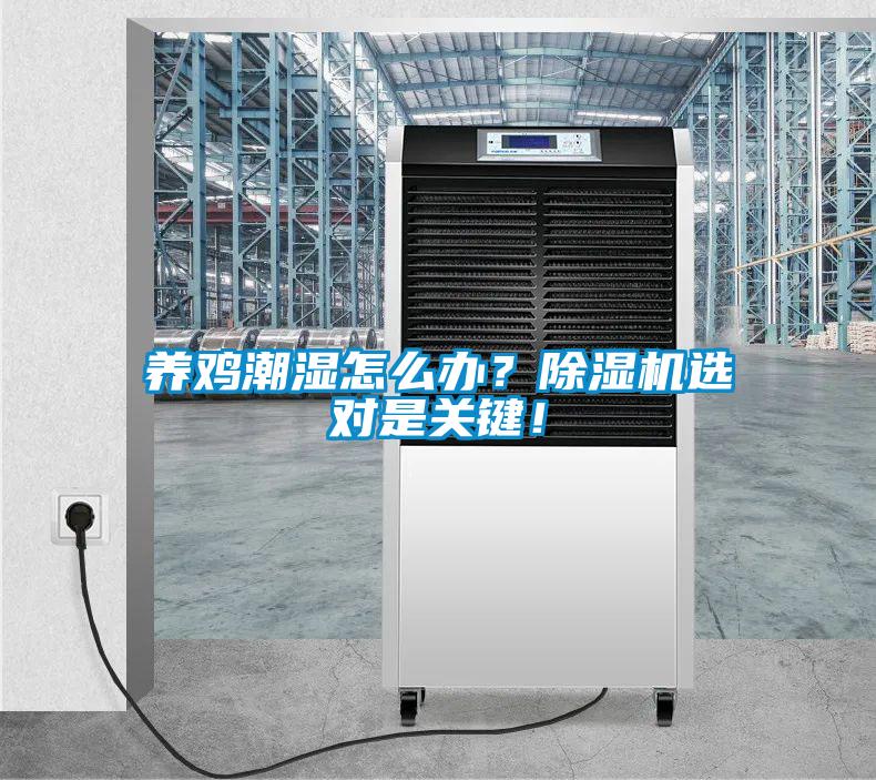 養雞潮濕怎么辦？除濕機選對是關(guān)鍵！