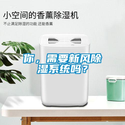 你，需要新風(fēng)除濕系統嗎？
