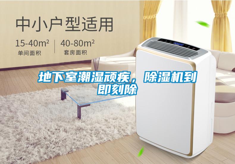 地下室潮濕頑疾，除濕機到即刻除