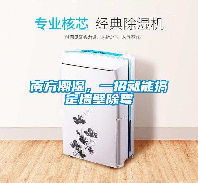 南方潮濕，一招就能搞定墻壁除霉