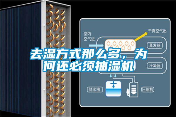 去濕方式那么多，為何還必須抽濕機