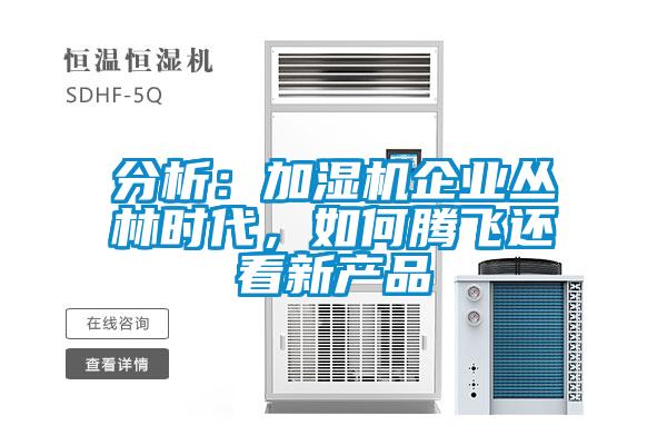 分析：加濕機企業(yè)叢林時(shí)代，如何騰飛還看新產(chǎn)品