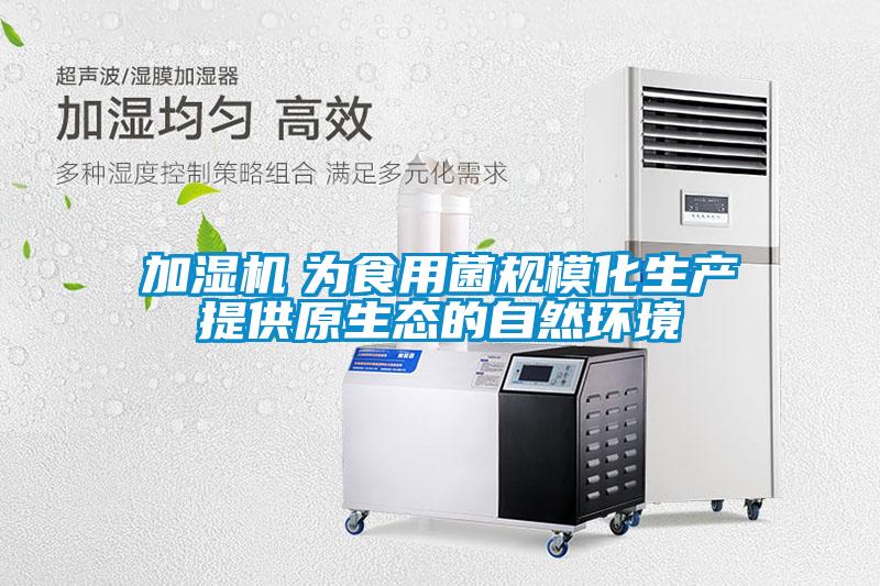 加濕機 為食用菌規?;a(chǎn)提供原生態(tài)的自然環(huán)境