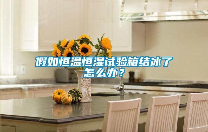 假如恒溫恒濕試驗箱結冰了怎么辦？