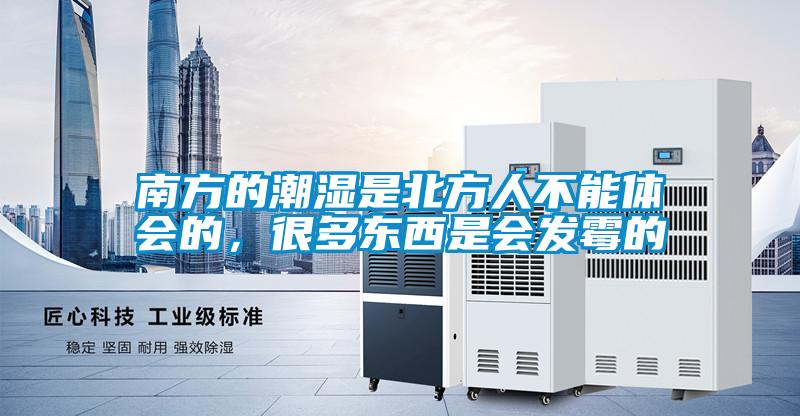 南方的潮濕是北方人不能體會(huì )的，很多東西是會(huì )發(fā)霉的