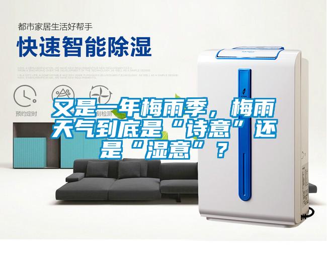 又是一年梅雨季，梅雨天氣到底是“詩(shī)意”還是“濕意”？