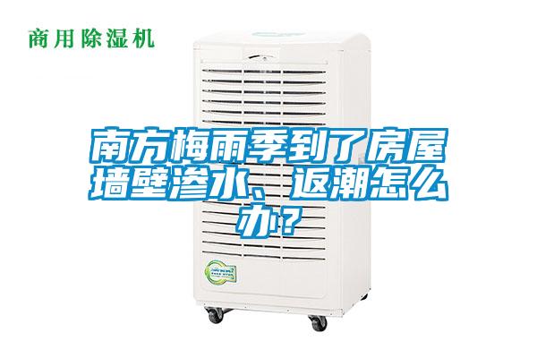 南方梅雨季到了房屋墻壁滲水、返潮怎么辦？