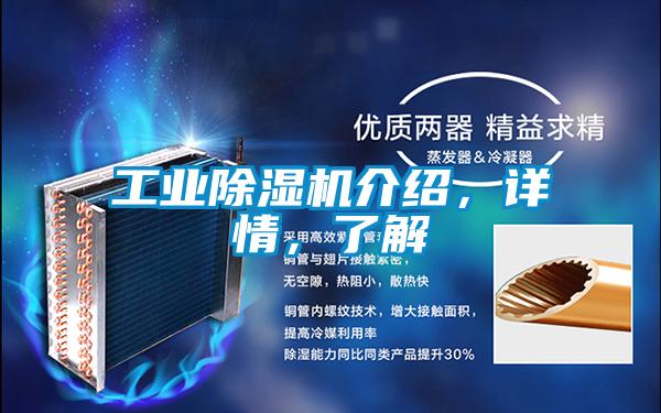 工業(yè)除濕機介紹，詳情，了解