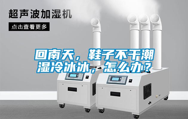 回南天，鞋子不干潮濕冷冰冰，怎么辦？