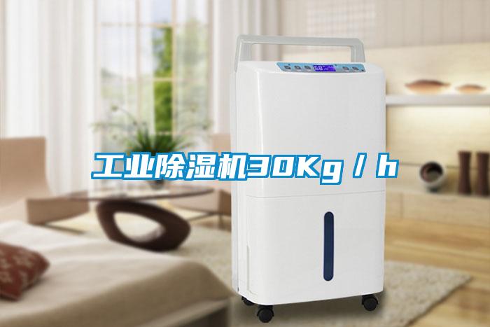 工業除濕機30Kg／h