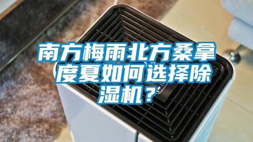 南方梅雨北方桑拿 度夏如何選擇除濕機？