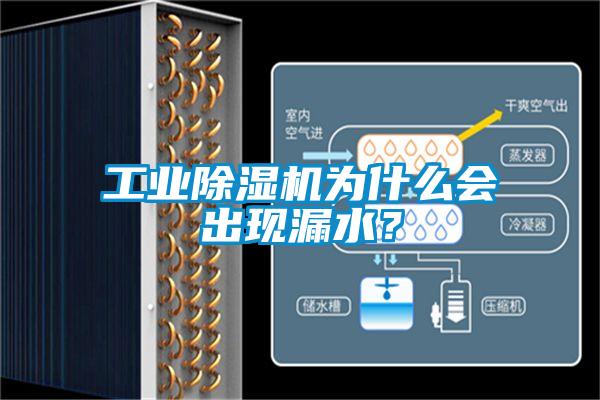 工業(yè)除濕機為什么會(huì )出現漏水？