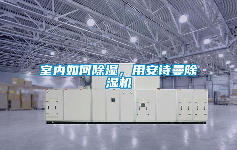 室內如何除濕，用安詩(shī)曼除濕機