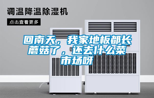 回南天，我家地板都長(cháng)蘑菇了，還去什么菜市場(chǎng)呀