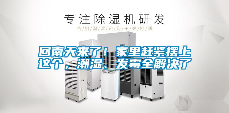 回南天來(lái)了！家里趕緊擺上這個(gè)，潮濕、發(fā)霉全解決了